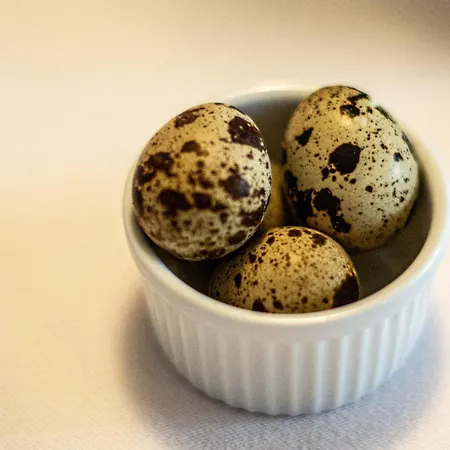 Alojamento de Turismo Rural Untersulzberghof Radstadt