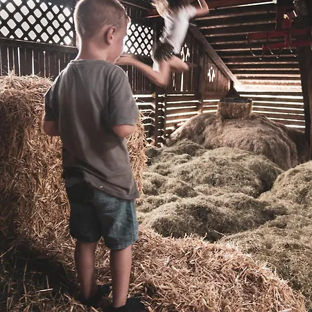 Untersulzberghof Farm stay *