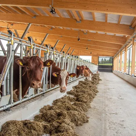 Untersulzberghof Alojamento de Turismo Rural Radstadt