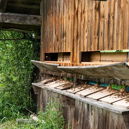 Untersulzberghof Фермерский дом *
