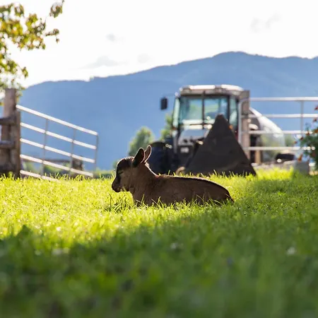Farm stay Untersulzberghof Radstadt