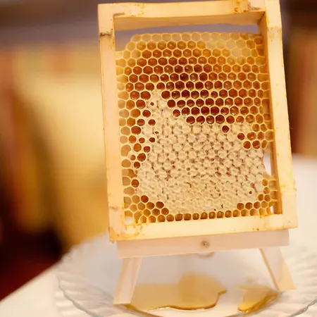 Farm stay Untersulzberghof *