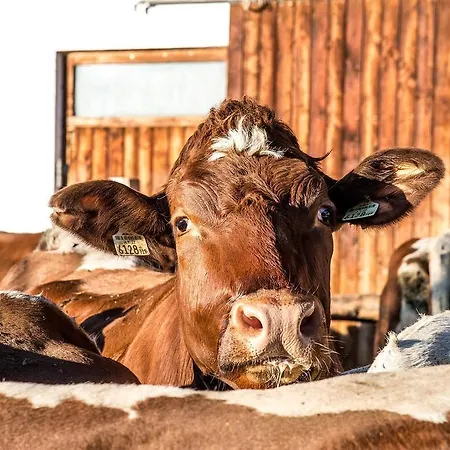 Farm stay Untersulzberghof *
