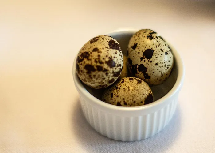 Lantgård Untersulzberghof Radstadt