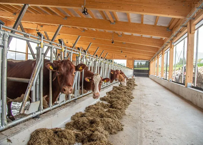 Untersulzberghof Lantgård Radstadt
