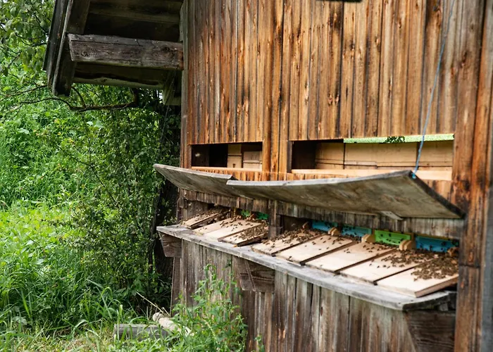 Untersulzberghof Lantgård *