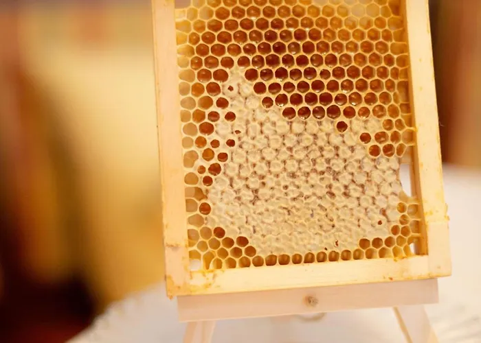 Lantgård Untersulzberghof *