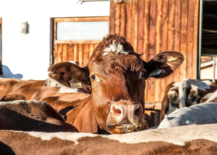Lantgård Untersulzberghof *