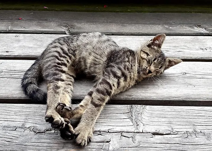 Lantgård Untersulzberghof